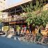 CURIOCITY JOBURG